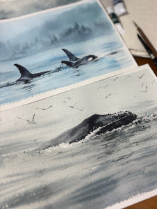 FREE - Misty Whales Demo with OPUS Art Supplies