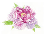 Load image into Gallery viewer, Spring Blossoms in Watercolour 6-Week Course - March/April
