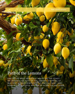 Load image into Gallery viewer, Amalfi Coast watercolor art painting retreat with Elena, Path of the Lemons

