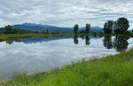 Load image into Gallery viewer, Watercolour Plein Air - North Alouette River, Pitt Meadows - July 14, 6-8 PM
