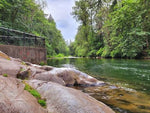 Load image into Gallery viewer, Watercolour Plein Air - Davidson's Pool Park, Maple Ridge - September 4, 6-8 PM

