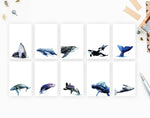 Load image into Gallery viewer, 10 Whales Notepad
