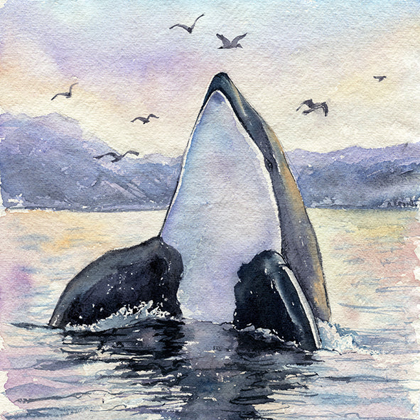 "Freja" Orca Whale Art-Print
