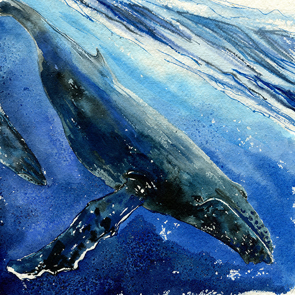 "Mo'orea" Humpback Whale Original Watercolor Painting
