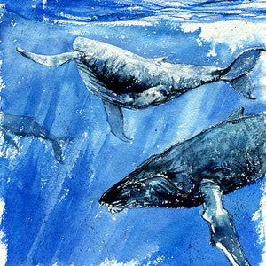 "Excitement" Humpback Whales Original Watercolor Painting