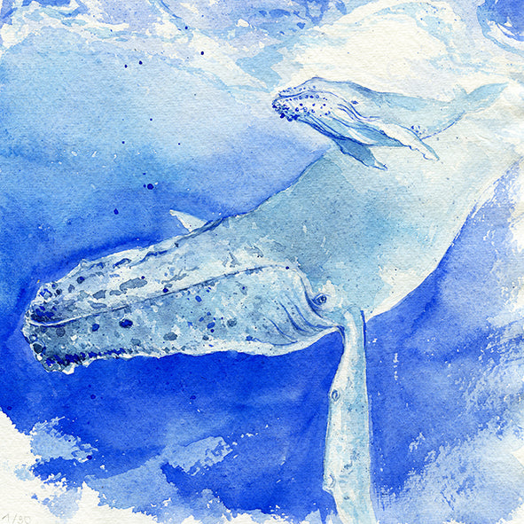 "Biscuit & Mum" Baby and mother Humpback Whales Original Watercolour Painting