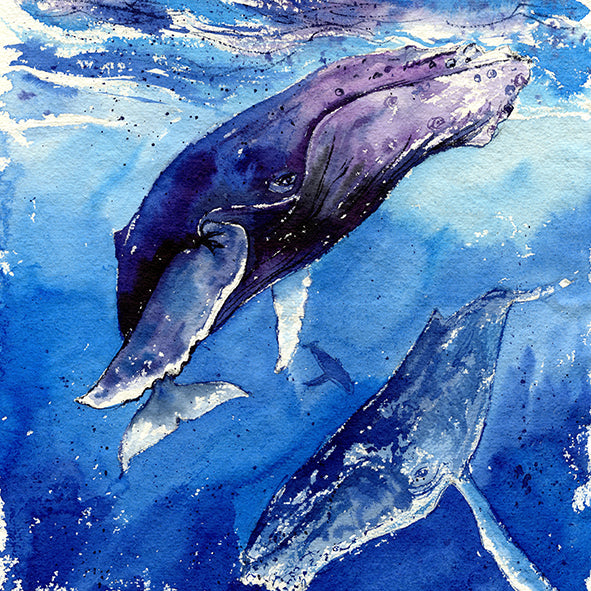 "The Trifecta" Humpback Whales Original Watercolor Painting