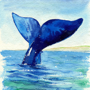 "Aloha" Humpback Whale Tail Original Watercolour Painting