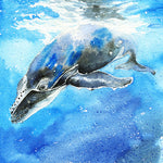 Load image into Gallery viewer, &quot;Curious&quot; Humpback Whale Calf Original Watercolor Painting
