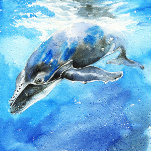 "Curious" Humpback Whale Calf Original Watercolor Painting