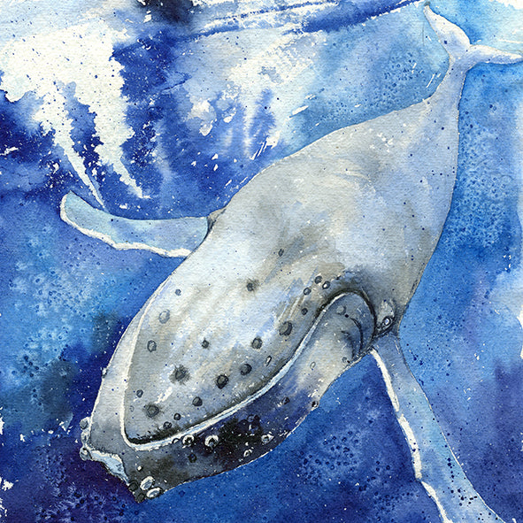 "Tonga" Humpback Whale Original Watercolor Painting