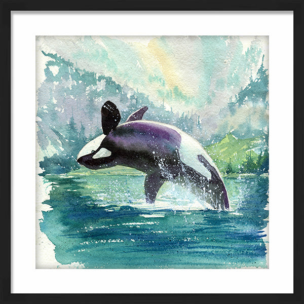 "Marina" Orca Killer Whale Art-Print