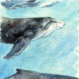 "Tropical Waters" Humpback Whales Original Watercolor Painting