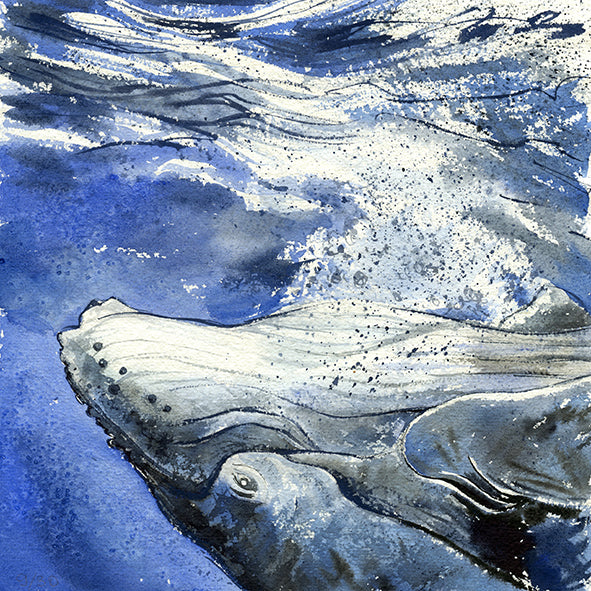 "Ingenuity" Humpback Whale Original Watercolor Painting