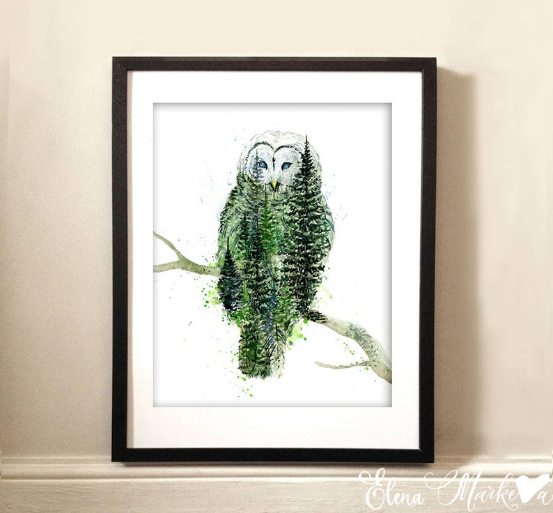 "Athena" Barred Owl Watercolour Print