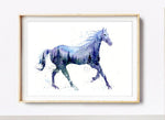 Load image into Gallery viewer, &quot;Night Stallion&quot; Watercolour Print
